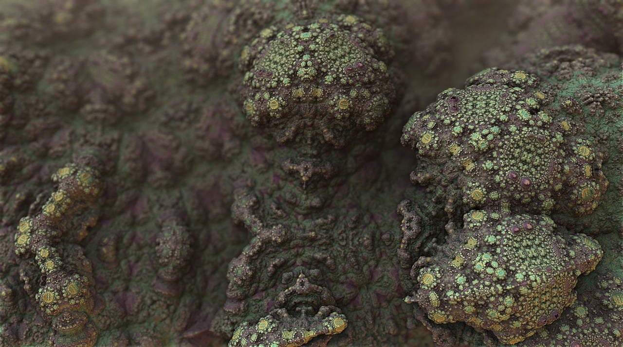 Mold can cause issues